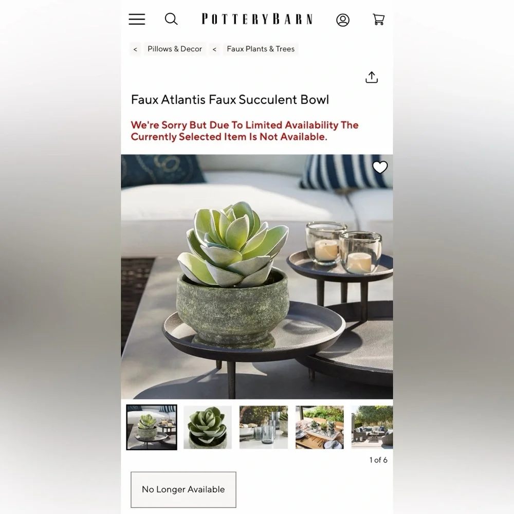 Pottery Barn Atlantis Faux Succulent in Bowl, Like New